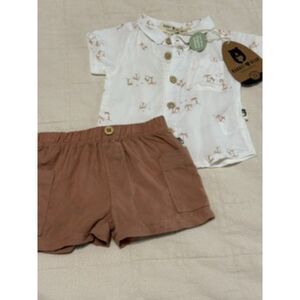 Adorable Rabbit & Bear brand boys outfit 0-3